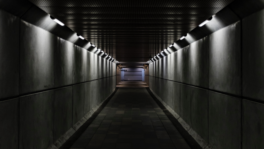 image.thumb.png.bde2976a32577883f5845e0111e513c8.png