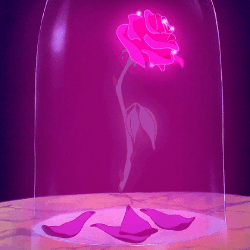 gifxor7.gif.1a21a4a722fd0b5ccd67580682783848.gif