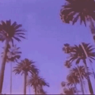 3d4ef3b9dc2f3ab3abafee8b57740b3f.gif.4ec00e5725ca4f9bd50844c7eb6b0963.gif